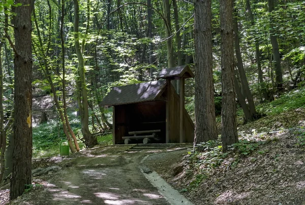 Chemin pittoresque à travers la forêt verte avec abri — Photo