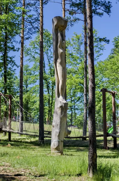Seilbrücke bei tsari mali grad mit Holzskulptur — Stockfoto