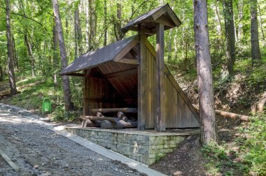 Yeşil orman sığınak ile pitoresk yol