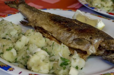 Kızarmış balık ve haşlanmış patates salatası