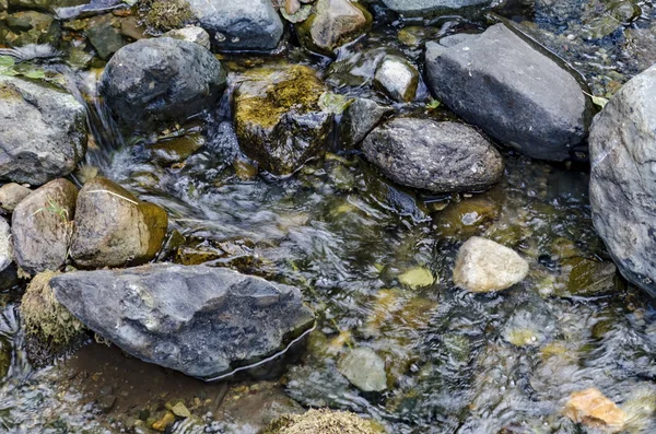 Bellissimo movimento sfocato paesaggio del flusso d'acqua nella foresta verde — Foto Stock