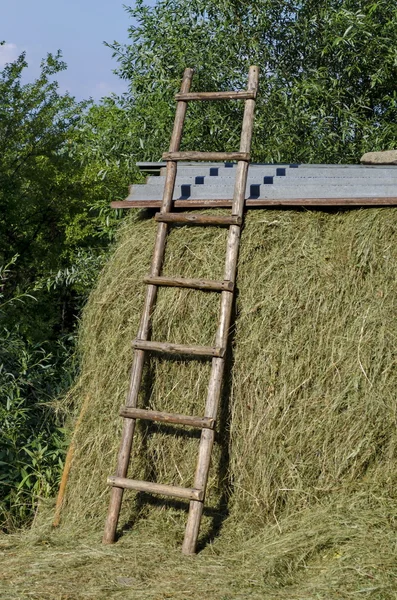 美丽的风景与草堆里维托沙山 — 图库照片