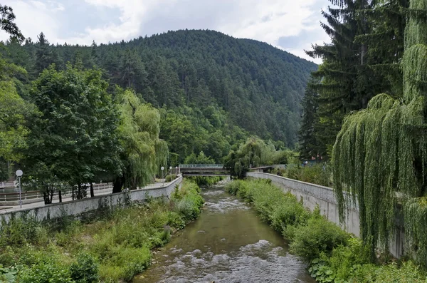 Blick in Richtung Fluss mit Brücke und vielfältiger Pflanzenwelt — Stockfoto