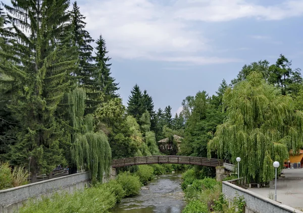 Vue vers la rivière avec pont et plante très variée — Photo
