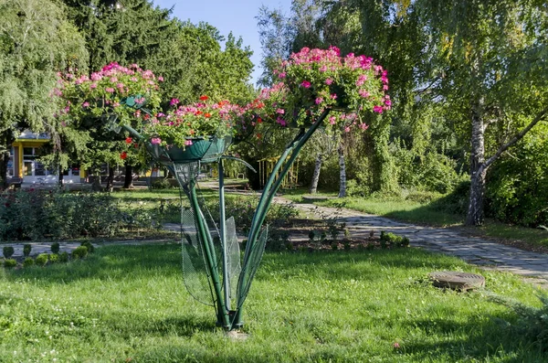 Gestalt mit Blumen im Garten der Stadt Rasgrad — Stockfoto
