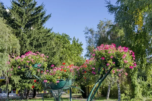 Forme avec des fleurs dans le jardin de la ville de Razgrad — Photo