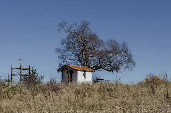 Wunderschöne Landschaft mit altehrwürdiger Birke und alter Kapelle — Stockfoto