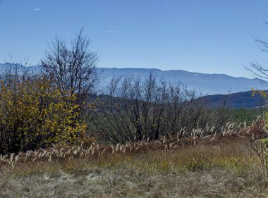Renk antumnal ağaçlarda Plana doğru Rila Dağı