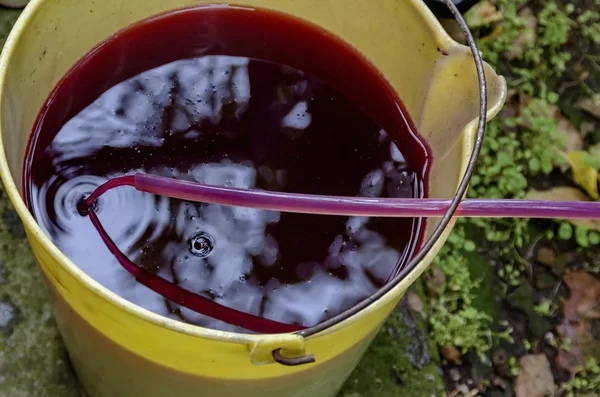 Parte de la producción de vino nuevo en el estado de casa, vid derramada en el cubo — Foto de Stock