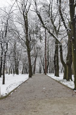 Kar yağışı, kış bahçesinde