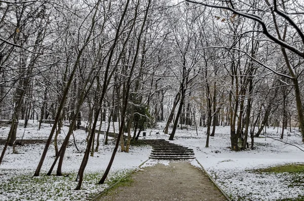 Snöfall i trädgården på vintern — Stockfoto