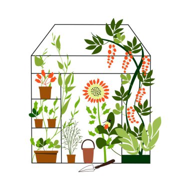 Saksıda saksıda bulunan ev bitkileri, çiçekler, palmiye yaprakları, bahçe, kulübe, bina, sera, bahçıvanlık, soyut, el çizimi, Clipart, konsept, pankart, kartpostal, vektör ilülasyonu.