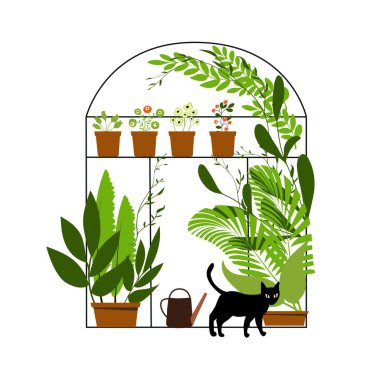 Saksıda saksıda bulunan ev bitkileri, çiçekler, palmiye yaprakları, bahçe, kulübe, bina, sera, bahçıvanlık, soyut, el çizimi, Clipart, konsept, pankart, kartpostal, vektör ilülasyonu.