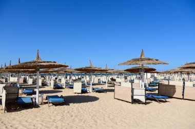 Kumsalda güneşlenirler..