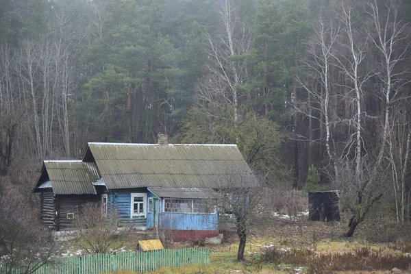 森の端に霧に古い木造の家 — ストック写真