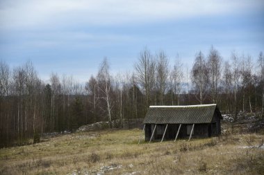 Ormandaki bir yamaçta köhne ahşap bir ev.