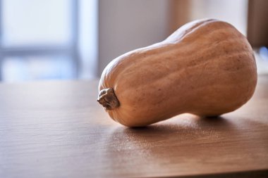 Mutfaktaki ahşap masadaki balkabağı. Seçici odak.                               