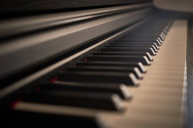 Piyano klavyesini kapat. Seçici odak ve alanın sığ derinliği.                               