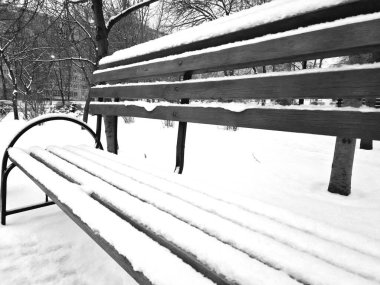 Parktaki karlarla kaplı banklar.