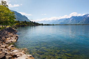 Manzara. Güneşli gün, Lakeside ve karlı dağlar