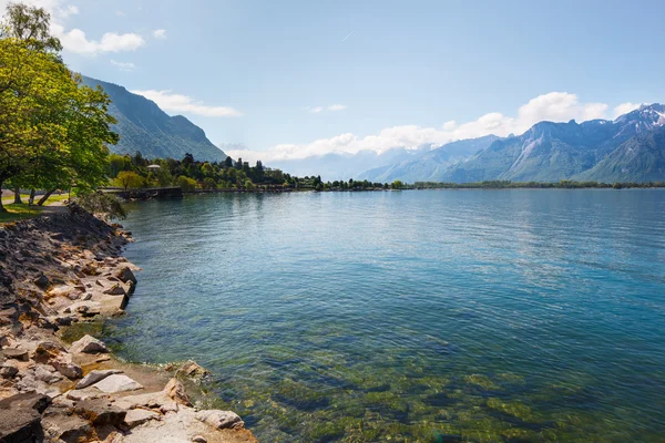 Manzara. Güneşli gün, Lakeside ve karlı dağlar