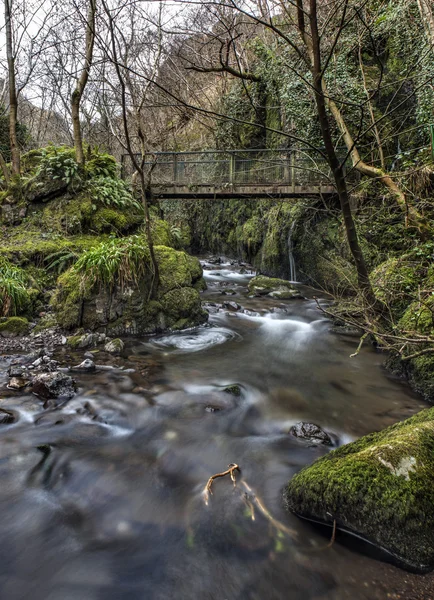 River flowing under old bridge — Stock Photo, Image