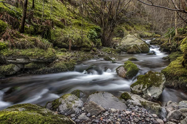 Flödande floden i Alva Glen, Skottland — Stockfoto