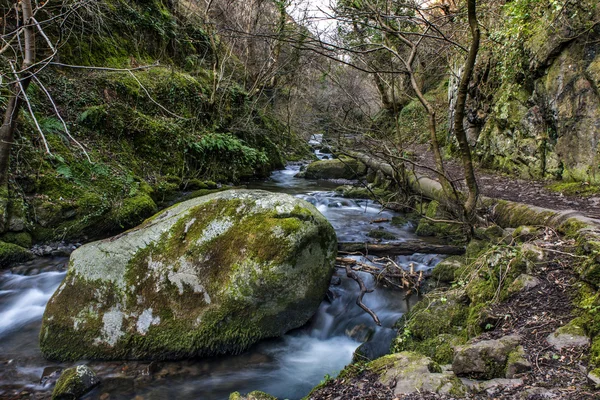 İskoç nehir büyük kaya — Stok fotoğraf