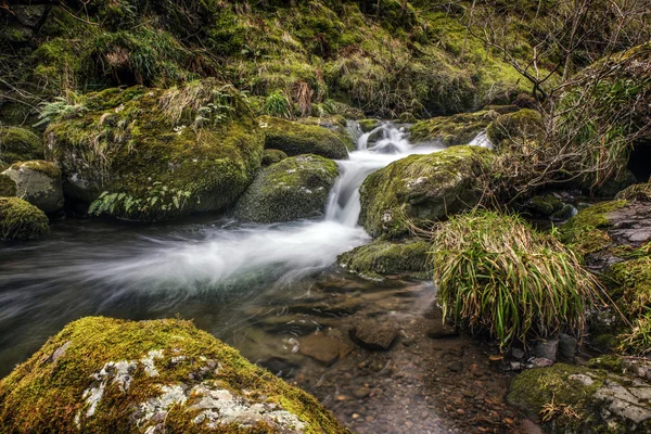 Flödande floden i Alva Glen — Stockfoto