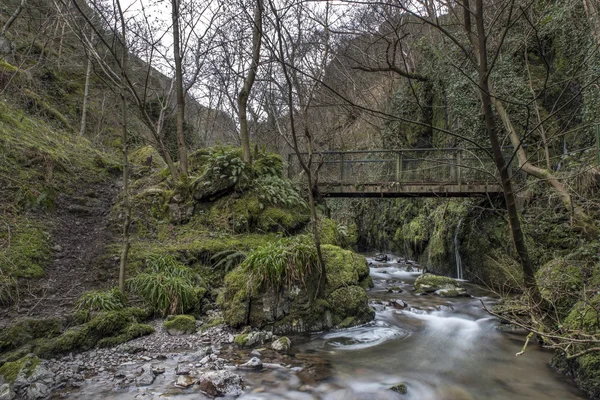 Gamla bron, Alva Glen Scotland — Stockfoto