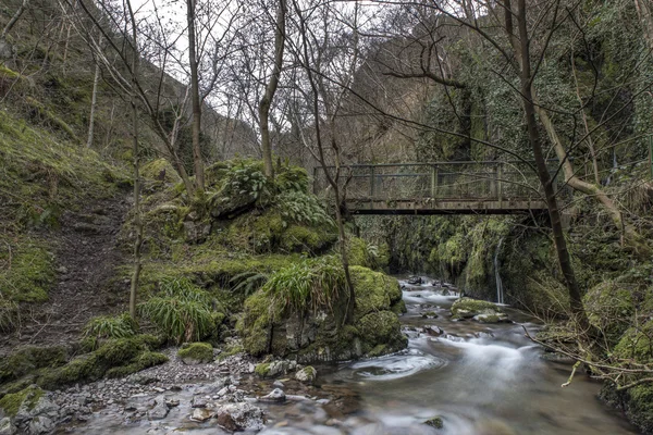 Old Bridge, Alva Glen Scotland — Stok fotoğraf