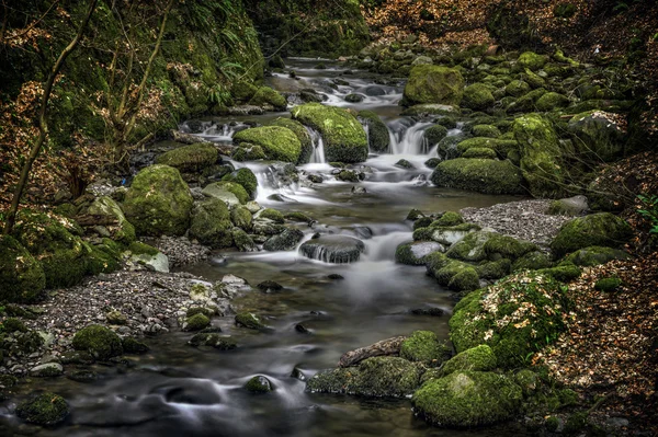 Dramatiska floden, Alva Glen Scotland — Stockfoto