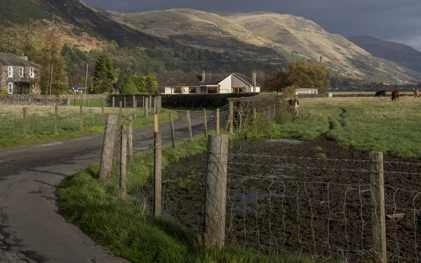 The Ochil Hills Farm — Stock Photo, Image