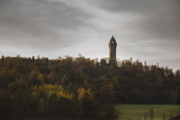 A Wallace Monument, Stirlingshire — Stock Fotó