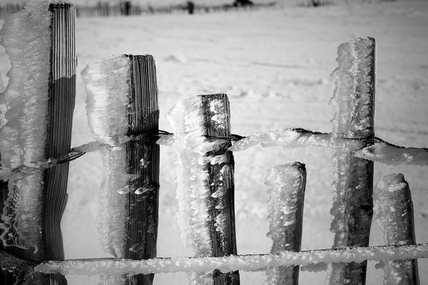 Icy fence — Stock Photo, Image