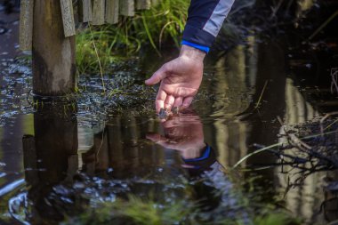 Çok dokunaklı bir kurbağa adam