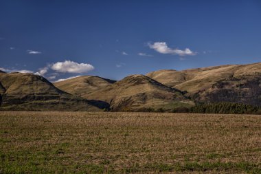 Canlı dağlık manzara