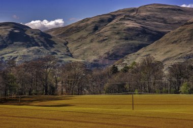 Ağaçlar ve dağlar İskoçya'da