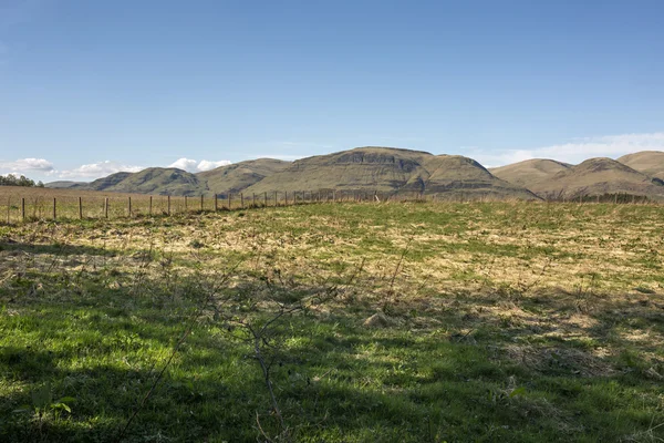 Empty Field — Stock Photo, Image