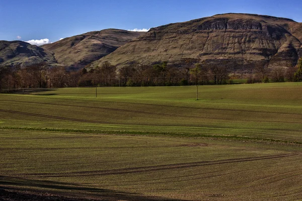 Empty Farm — Stock Photo, Image