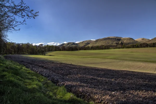 Tierras agrícolas en Escocia —  Fotos de Stock