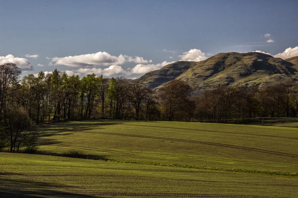 Ferme vide et arbres — Photo