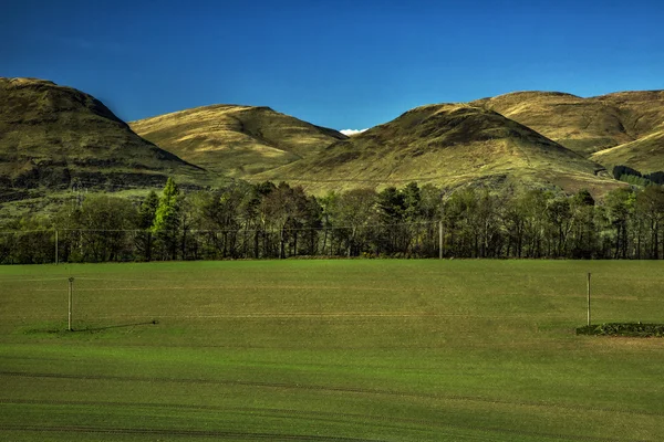 Der ockerfarbene Bereich in Clackmannanshire Schottland — Stockfoto