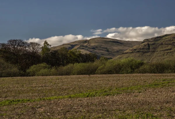 Sommerfeld in Schottland — Stockfoto