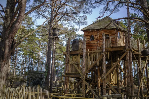 Cabane dans une forêt — Photo