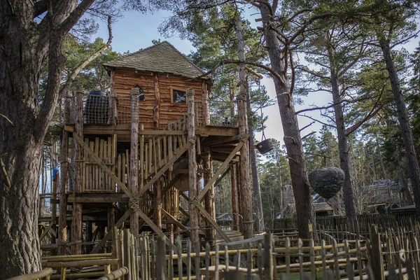 Uma casa de árvore legal em uma forrest Imagem De Stock