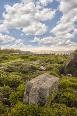 Largs nehir bankada bir kadeh