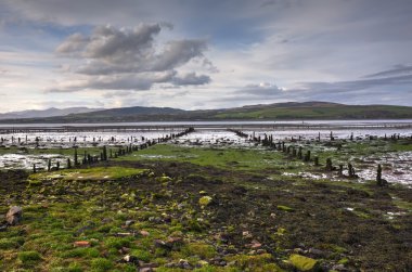 Largs nehir bankada bir kadeh,