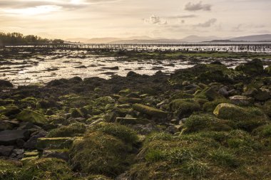 Largs nehir bankada bir kadeh