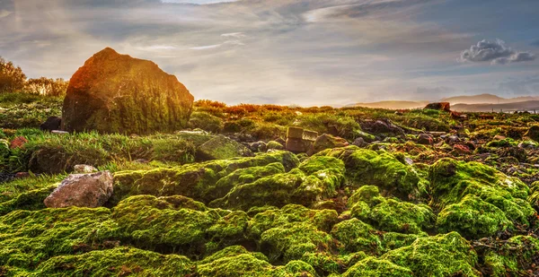 Shot of a river bank — Stock Photo, Image